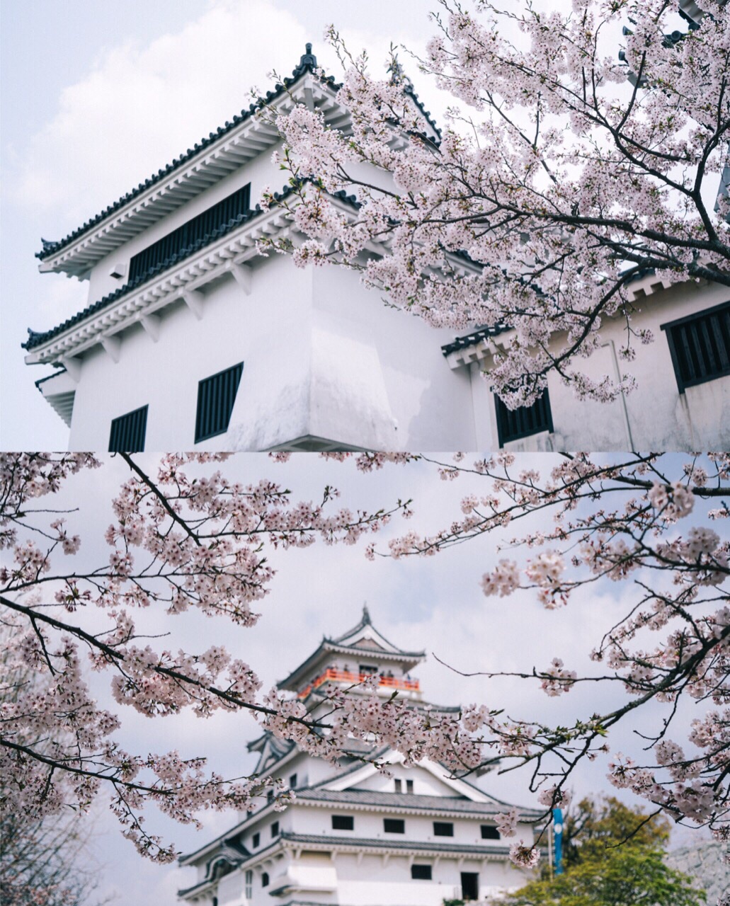 Jr Kyushu Sweet Train Aru Ressha Attraction Reviews Jr Kyushu Sweet Train Aru Ressha Tickets Jr Kyushu Sweet Train Aru Ressha Discounts Jr Kyushu Sweet Train Aru Ressha Transportation