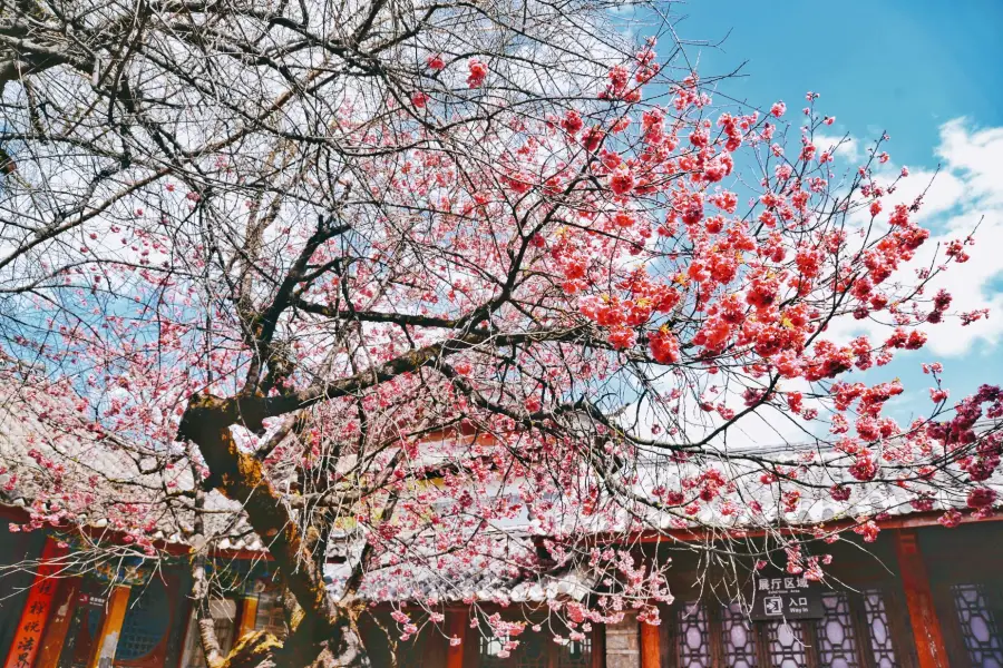 茶馬古道博物館