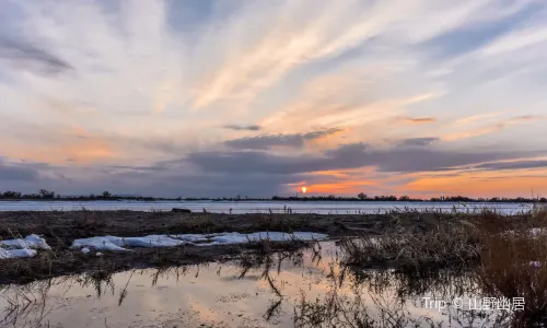 Ulungu Lake National Wetland Park