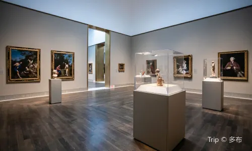 The Museum of Fine Arts, Houston