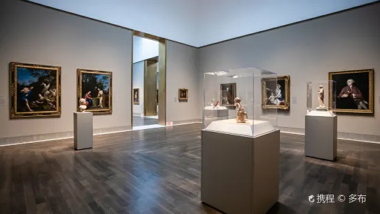 The Museum of Fine Arts, Houston