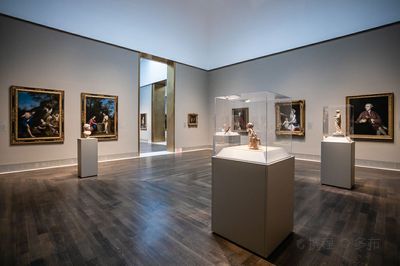 The Museum of Fine Arts, Houston