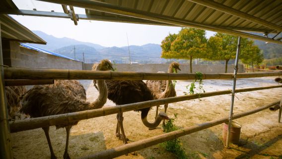 Sanmen County, Taizhou
