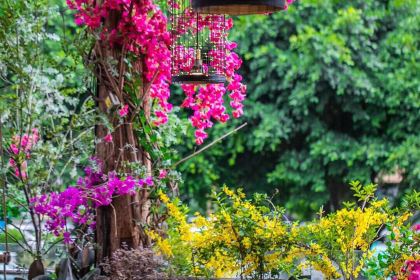 Qin Ma Hotpot (NanPing)