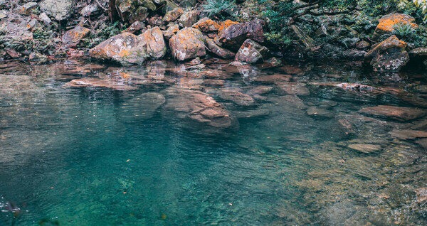 In the depths of the 100,000 mountains in Guangxi, there is a scenic spot called Bazhaigou. When it comes to this, many people must compare it with Jiuzhaigou. This is a small, exquisite and delicate place in the southern country, although it is not as good as Jiuzhaigou. The fairytale is amazing, but it also stands out in the unique characteristics of Lingnan and subtropical rainforest. 
Bazhaigou is a virgin land that is hidden in the deep and fascinating virgin land. It is also a cool world where the valley explores and releases the summer mood. It is not far from the urban area, but it is particularly low-key in the eyes of tourists. 
As a national 4A level scenic spot, Bazhaigou is in conflict with the northwest of Qinzhou District of Qinzhou, about 50 kilometers away from the urban area. It is one of the source rivers of the Dazhou River in Qinzhou. It belongs to the Dalongling watershed system and is located at 100,000. The mountains are surrounded by mountains, surrounded by mountains, dense forests, numerous tall trees, and high vegetation coverage. 
 After the 21st century, although Bazhaigou began to be built as a scenic spot, its reputation has gradually increased, but it is still only the tourists in the surrounding cities, but the reputation outside the province is still very small, many of which have not been heard. Over. 
Bamboo is thin and tall, and full of an uninhabited wildness, proudly standing in the mountains. Going along the stream, passing through the cliffs, the jadeite red beads, the cascading waterfalls plunging down, grass, orchids, ancient vines, woods, birds and squirrels... all in harmony, like poetry Picturesque, greedy breathing fresh mountain wind, bathed in this natural oxygen bar.