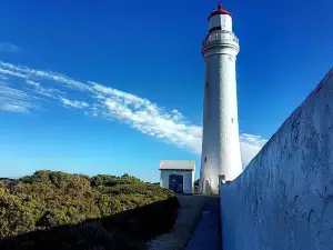 Cape Nelson lighthouse