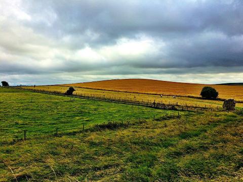 Avebury Stone Circles イースト ケネット の旅行レビュー Trip Comトラベルガイド