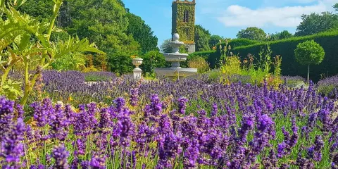 聖安妮公園 & 玫瑰園