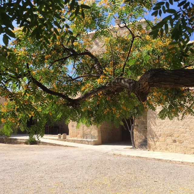 Paphos District Museum