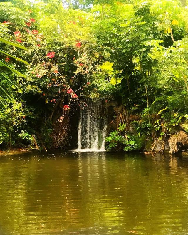 Garden of the Groves