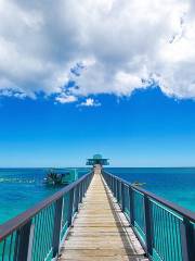 Fish Eye Marine Park - Visitor Center