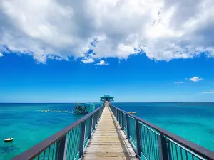 Fish Eye Marine Park - Visitor Center