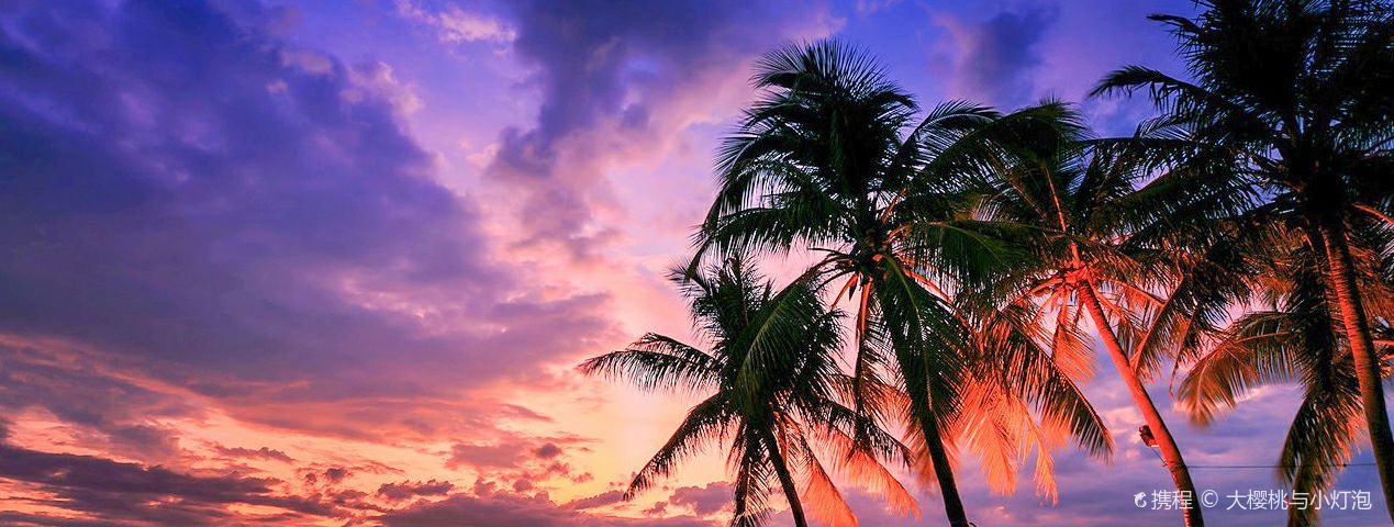 SenggigiServizi di viaggio