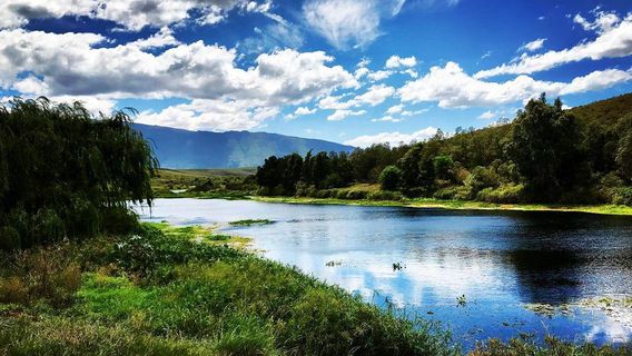 Bontebok National Park
