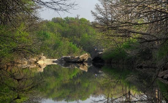 McKinney Falls State Park