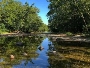 Highbanks Metro Park