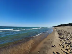 parc d'État des Warren Dunes