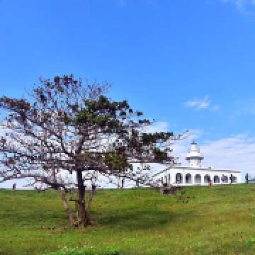 自然及野生動物