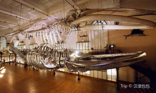 Museo Oceanografico di Monaco