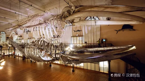 พิพิธภัณฑ์สมุทรศาสตร์แห่งโมนาโก