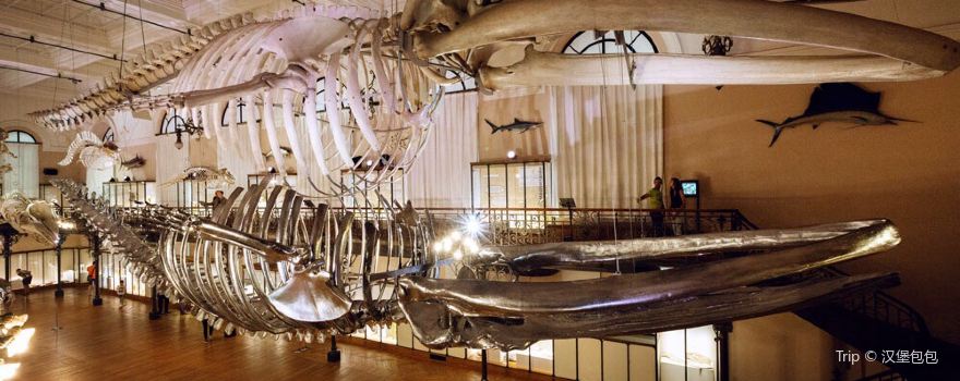 Oceanographic Museum of Monaco