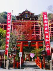 Yūtoku Inari Shrine