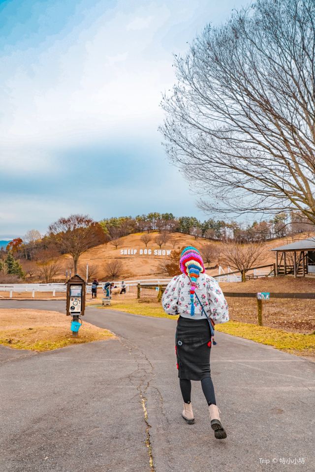 이카호 그린 목장