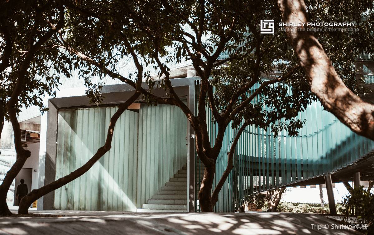 華僑城創意文化園