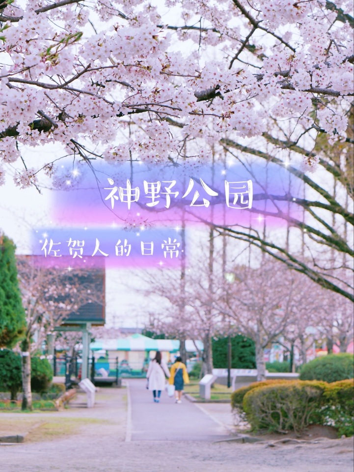 神野公園旅遊攻略指南 神野公園評價 神野公園附近推薦 Trip Com