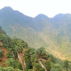 莽山天台山美食 User Photo