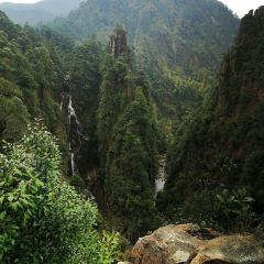 莽山天台山美食 User Photo