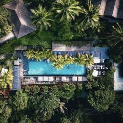 Jungle Fish Pool Bar Nutzerfoto
