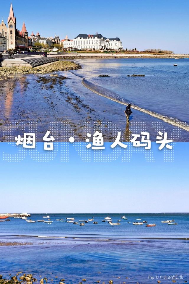 해창어인부두 Attractions - 옌타이 Travel Review -2020년 5월 8일Travel Guide - Trip.com