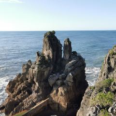 Punakaiki Tavern 여행 사진