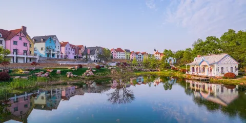 大塘金薰衣草莊園