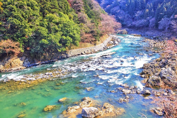 Arashiyama/ Sagano