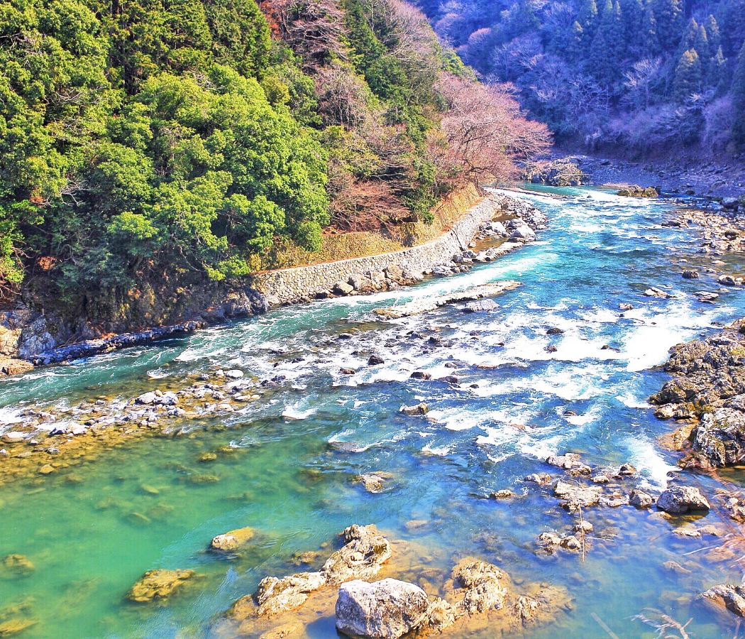 Arashiyama/Sagano