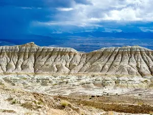 Tibet Earth Forest of Zanda National Geological Park