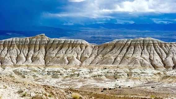 Tibet Earth Forest of Zanda National Geological Park