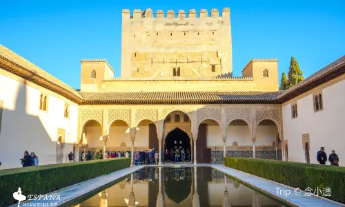 Nasrid Palaces
