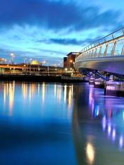 Lagan Weir and Lookout