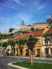 Trenčín Castle