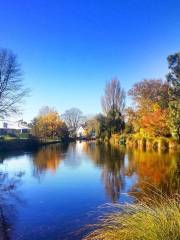 Mona Vale Garden Park