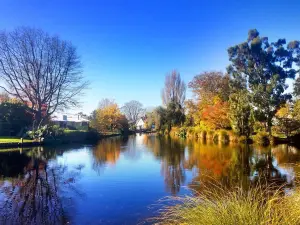 Mona Vale Garden Park