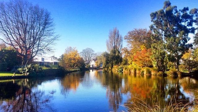 Mona Vale Garden Park