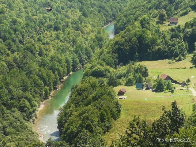 Tara River Canyon