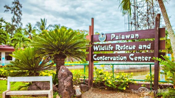 Palawan Wildlife Rescue and Conservation Center (Crocodile Farm)