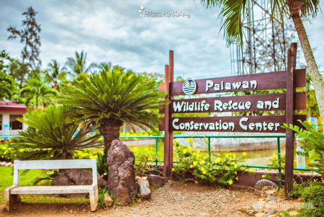 Palawan Wildlife Rescue and Consevation Center