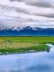 Potter Marsh Bird Sanctuary