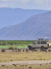 Lake Manyara National Park